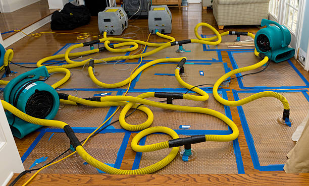 Professional Water Damage Restoration technician working in Portsmouth, VA